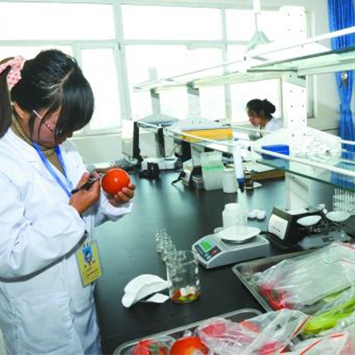 农产品质量检测属于食品专业吗？